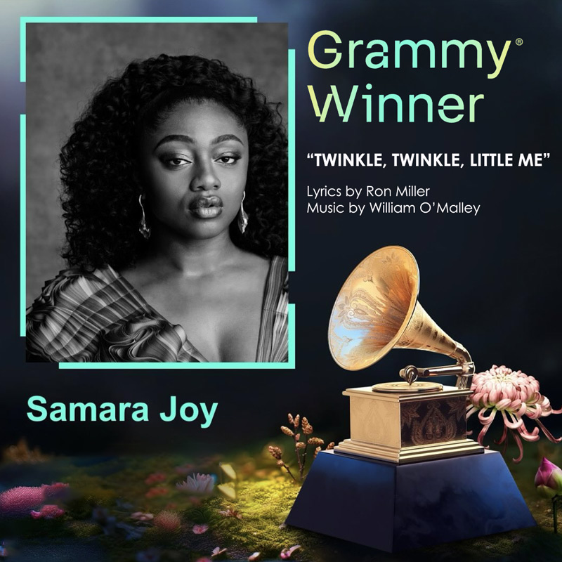 twinkle_twinkle_little_me_grammy_winner_square